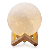 Magical Moon Night Light